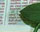 #u42504c9091s#