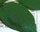 #u42504d0891s#