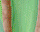 #u435a4d0fces#