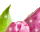 #u43a7ab6f42s#