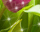 #u43a7ae4042s#