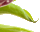 #u43a7b07642s#