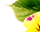 getImage