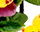 getImage