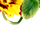 getImage