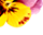 getImage