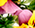 getImage