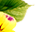 getImage