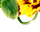 getImage