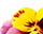 getImage