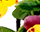 getImage