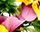 getImage