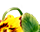 getImage