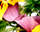 getImage
