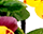 getImage