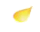 getImage