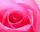 #u4519a5d547s#