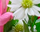 #u4519a86547s#