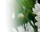 #u4519a9ae47s#