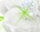 #u4569971aa5s#