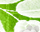 #u4569983da5s#