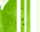 #u456999dda5s#