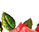 #u457b2c2889s#