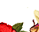 #u457b2c6f89s#