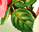 #u457b4b1089s#