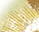 #u457b4dc889s#