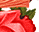 #u457b4f4089s#