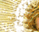 #u457b5bba89s#