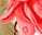 #u457b5cc389s#