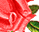 #u457b5cd389s#