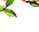 #u457b5fa789s#