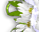 #u457b8c2789s#