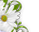 #u457b8c7589s#