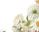 #u457b8cd389s#