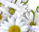#u457b90f389s#
