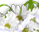 #u457b910989s#