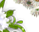 #u457b917c89s#