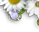 #u457b941389s#