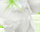 #u457c6e3fa5s#