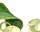 #u4594e0c242s#