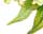 #u4594e6cf42s#