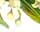 #u4594e8cf42s#