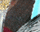 #u45c89621d3s#