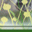 #u470e050f0as#