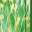 #u470e0a020as#