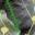 #u470e0a6d0as#